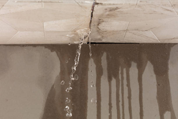 Professional Water Extraction technician working in Easton, MN